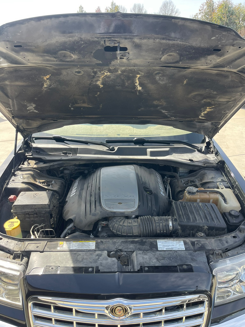 Chrysler 300 engine bay cleaned and dressed during a detailing service