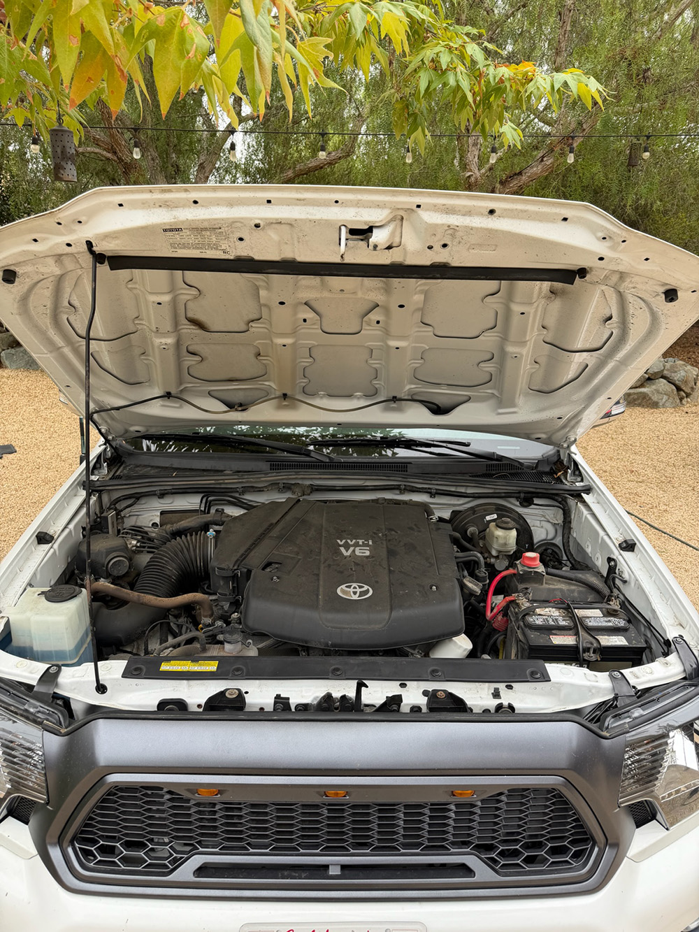Toyota Tacoma engine bay after a professional detailing service